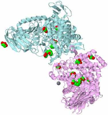 Image Biological Unit 3