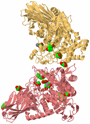 Image Biological Unit 4