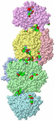 Image Asym./Biol. Unit - sites