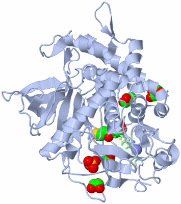 Image Asym./Biol. Unit