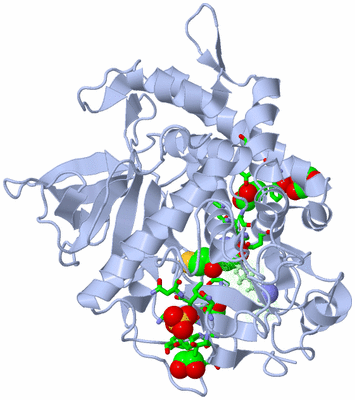 Image Asym./Biol. Unit - sites