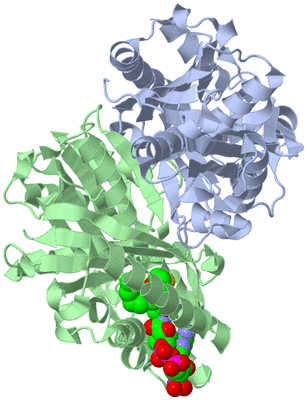 Image Asym./Biol. Unit