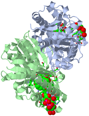 Image Asym./Biol. Unit - sites