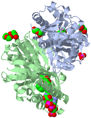 Image Asym./Biol. Unit