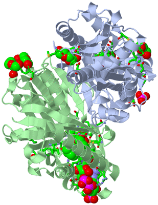 Image Asym./Biol. Unit - sites