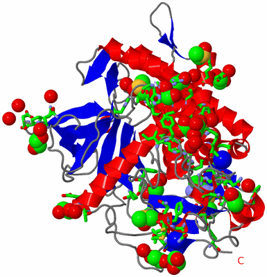 Image Asym./Biol. Unit - sites