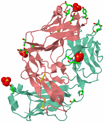 Image Asym./Biol. Unit - sites