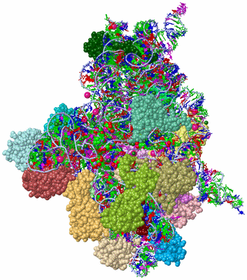 Image Asym./Biol. Unit