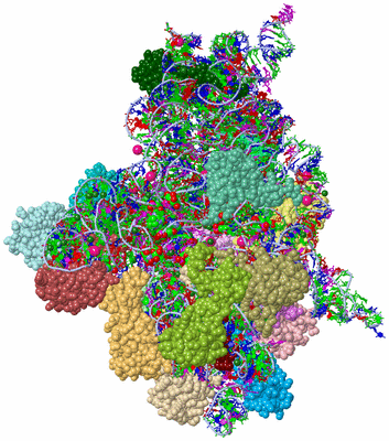 Image Asym./Biol. Unit - sites