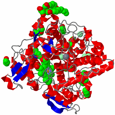 Image Asym./Biol. Unit