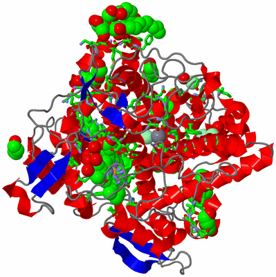 Image Asym./Biol. Unit - sites