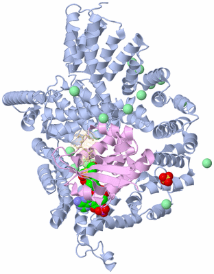 Image Biological Unit 1