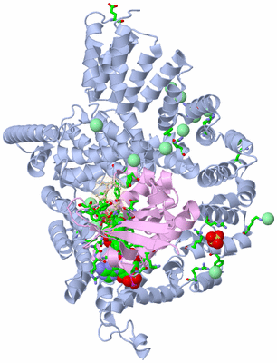 Image Biol. Unit 1 - sites