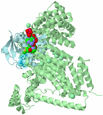 Image Biological Unit 2