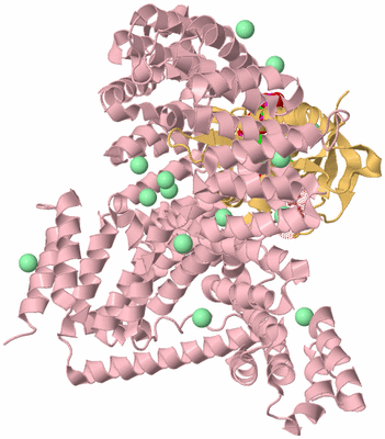 Image Biological Unit 3