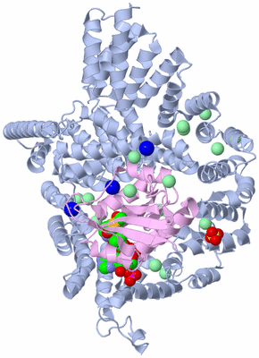 Image Biological Unit 1