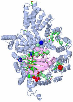 Image Biol. Unit 1 - sites