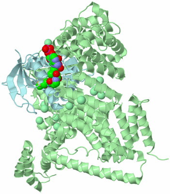 Image Biological Unit 2