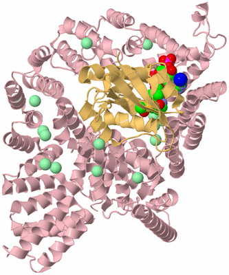 Image Biological Unit 3