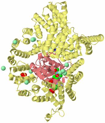 Image Biological Unit 4