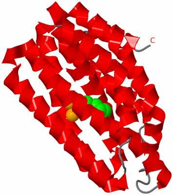 Image Asymmetric Unit