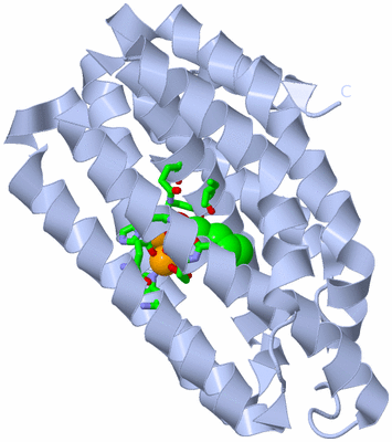 Image Biol. Unit 1 - sites