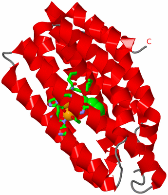 Image Asym. Unit - sites