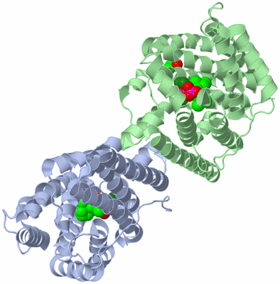 Image Biological Unit 1