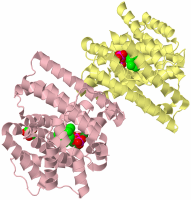 Image Biological Unit 2