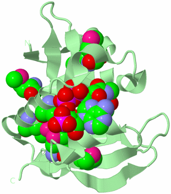 Image Biological Unit 2