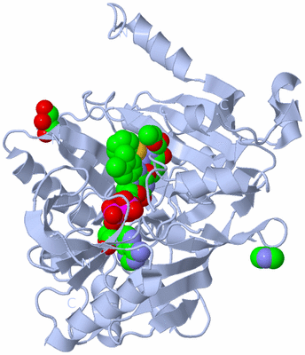 Image Biological Unit 1