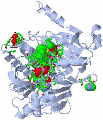 Image Biol. Unit 1 - sites