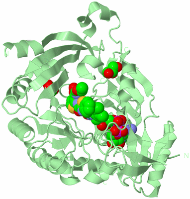 Image Biological Unit 2