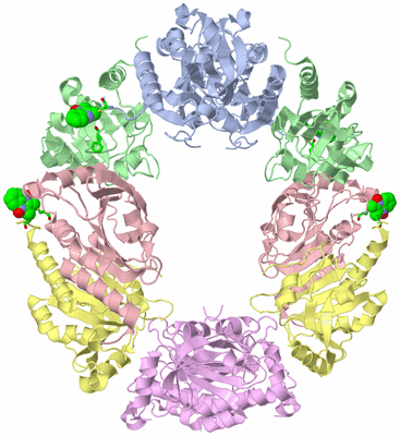 Image Biol. Unit 1 - sites