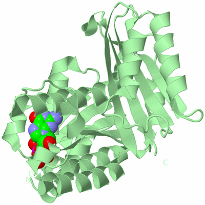 Image Biological Unit 2