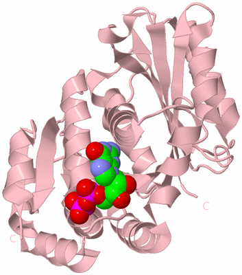 Image Biological Unit 3