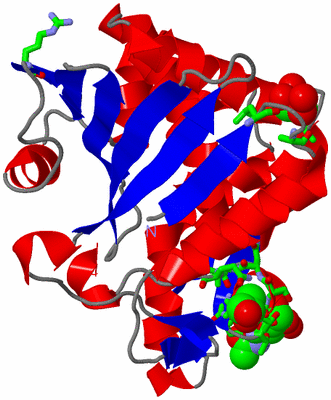 Image Asym./Biol. Unit - sites