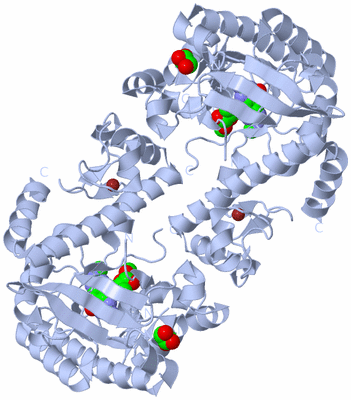 Image Biological Unit 1