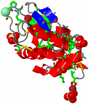 Image Asym./Biol. Unit - sites