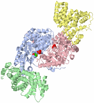 Image Asym./Biol. Unit