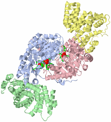 Image Asym./Biol. Unit - sites