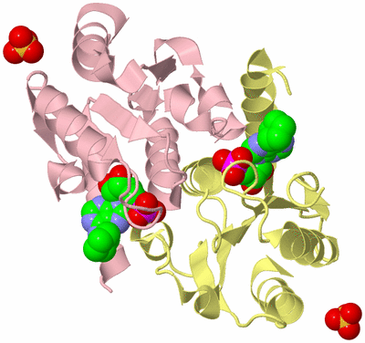 Image Biological Unit 2