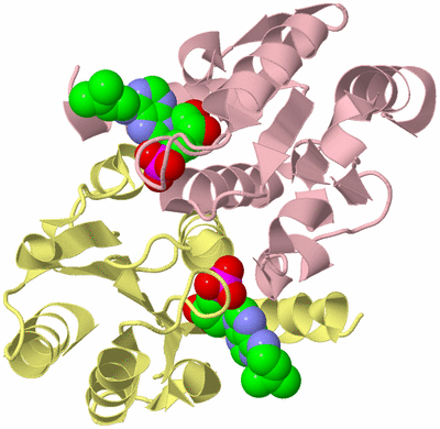 Image Biological Unit 2