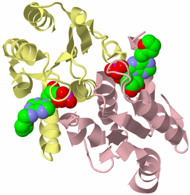 Image Biological Unit 2