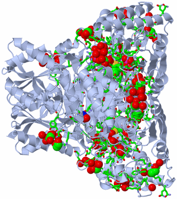 Image Biol. Unit 1 - sites