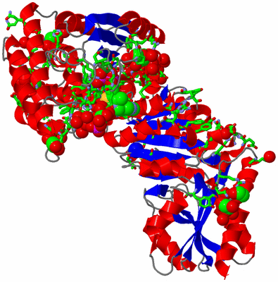 Image Asym. Unit - sites