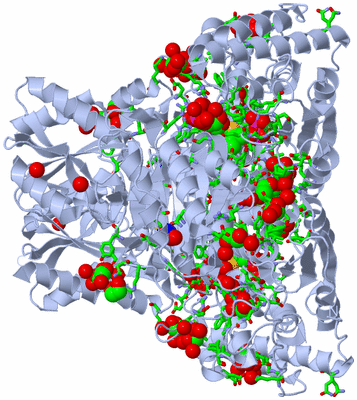 Image Biol. Unit 1 - sites