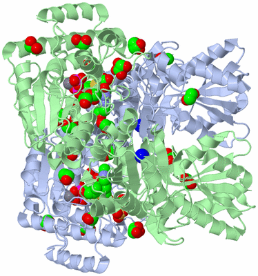 Image Asym./Biol. Unit