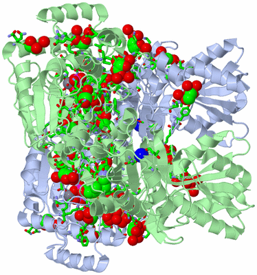 Image Asym./Biol. Unit - sites