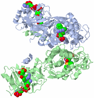 Image Biological Unit 1